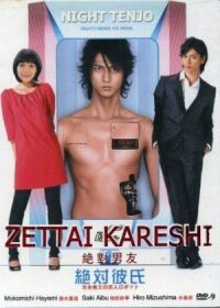 Постер к фильму Идеальный парень (2008) смотреть онлайн на киного