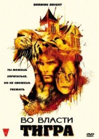 Постер к фильму Во власти тигра (2010) смотреть онлайн на киного
