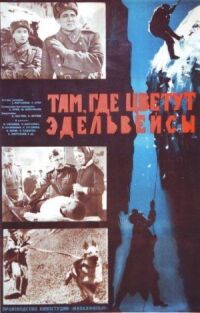 Постер к фильму Там, где цветут эдельвейсы смотреть онлайн на киного