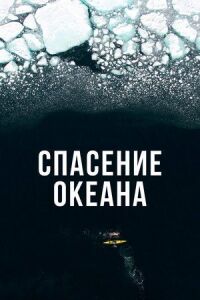 Постер к фильму Спасение океана смотреть онлайн на киного