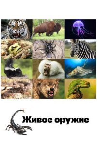 Постер к фильму Живое оружие смотреть онлайн на киного
