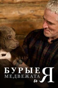 Постер к фильму Бурые медвежата смотреть онлайн на киного