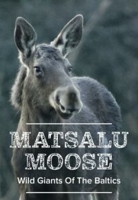 Постер к фильму Матсалукские лоси. Гиганты Прибалтики смотреть онлайн на киного