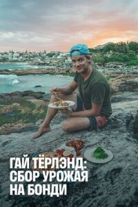 Постер к фильму Гай Тёрлэнд: Сбор урожая на Бонди смотреть онлайн на киного