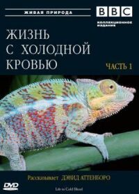 Постер к фильму BBC: Жизнь с холодной кровью смотреть онлайн на киного