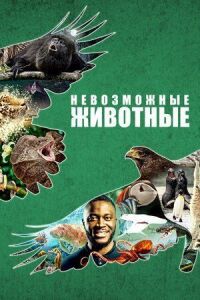 Постер к фильму Невозможные животные смотреть онлайн на киного