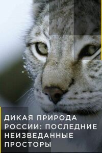 Постер к фильму Дикая природа России: Последние неизведанные просторы смотреть онлайн на киного