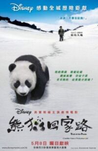 Постер к фильму След панды (2009) смотреть онлайн на киного