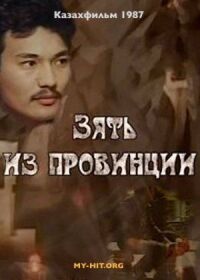 Постер к фильму Зять из провинции смотреть онлайн на киного