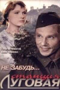 Постер к фильму Не забудь... станция Луговая смотреть онлайн на киного