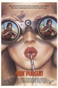 Постер к фильму Преследование по пятам (1987) смотреть онлайн на киного
