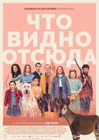 Постер к фильму Что видно отсюда смотреть онлайн на киного