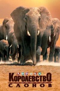 Постер к фильму Африка — королевство слонов смотреть онлайн на киного