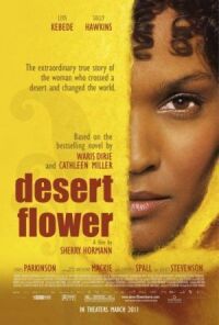 Постер к фильму Цветок пустыни (2009) смотреть онлайн на киного