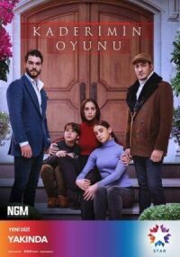 Постер к фильму Игра моей судьбы смотреть онлайн на киного