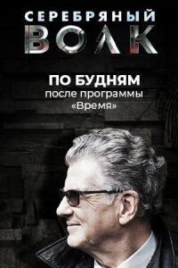 Постер к фильму Серебряный волк смотреть онлайн на киного