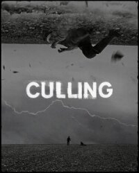 Постер к фильму Culling смотреть онлайн на киного
