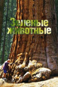 Постер к фильму Зелёные животные смотреть онлайн на киного