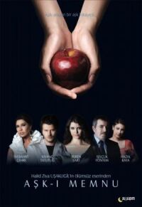 Постер к фильму Запретная любовь (2008) смотреть онлайн на киного