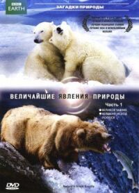 Постер к фильму BBC: Величайшие явления природы смотреть онлайн на киного