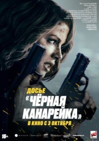 Постер к фильму Досье «Чёрная канарейка» смотреть онлайн на киного
