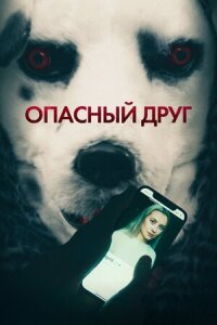 Постер к фильму Опасный друг смотреть онлайн на киного