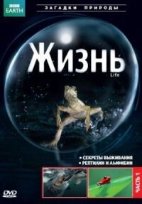 Постер к фильму BBC: Жизнь смотреть онлайн на киного