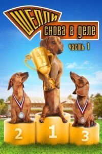Постер к фильму Шелли снова в деле: Часть 1 смотреть онлайн на киного