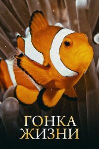 Постер к фильму Гонка жизни смотреть онлайн на киного