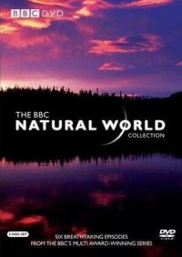 Постер к фильму BBC: Живой мир смотреть онлайн на киного