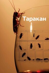 Постер к фильму Таракан смотреть онлайн на киного
