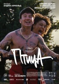 Постер к фильму Птица смотреть онлайн на киного