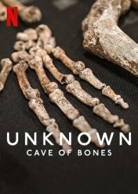 Постер к фильму Unknown: Cave of Bones смотреть онлайн на киного