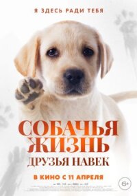 Постер к фильму Собачья жизнь: Друзья навек смотреть онлайн на киного
