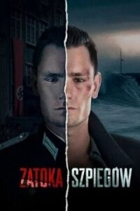 Постер к фильму Шпионский залив смотреть онлайн на киного