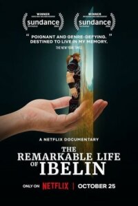 Постер к фильму Ibelin: Невероятная жизнь геймера смотреть онлайн на киного