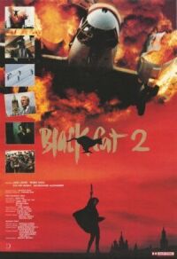 Постер к фильму Черная кошка 2 смотреть онлайн на киного