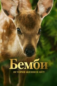 Постер к фильму Бемби. История жизни в лесу смотреть онлайн на киного