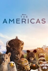 Постер к фильму Америка смотреть онлайн на киного