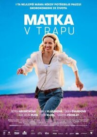 Постер к фильму Мать в ловушке смотреть онлайн на киного