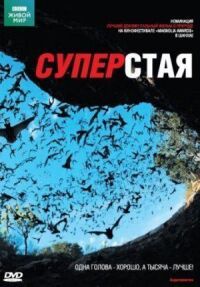 Постер к фильму BBC: Суперстая смотреть онлайн на киного