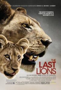 Постер к фильму Последние львы (2011) смотреть онлайн на киного