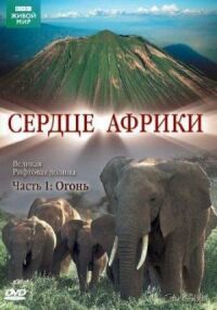 Постер к фильму BBC: Сердце Африки (2010) смотреть онлайн на киного