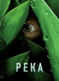Постер к фильму Река смотреть онлайн на киного