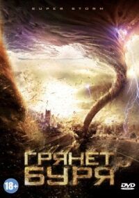 Постер к фильму Грянет буря смотреть онлайн на киного