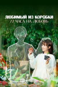 Постер к фильму Любимый из коробки: 72 часа на любовь смотреть онлайн на киного