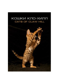 Постер к фильму Кошки Кло-Хилл смотреть онлайн на киного