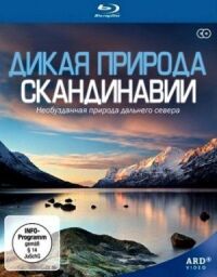 Постер к фильму Дикая природа Скандинавии смотреть онлайн на киного