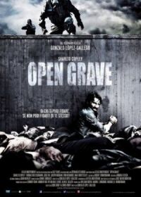 Постер к фильму Открытая могила (2013) смотреть онлайн на киного