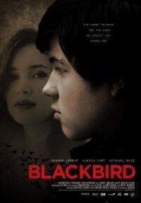 Постер к фильму Черный дрозд (2012) смотреть онлайн на киного